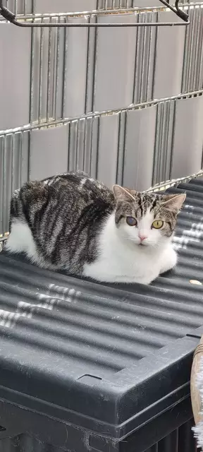 Vitus | Foto: Sabine Pollok