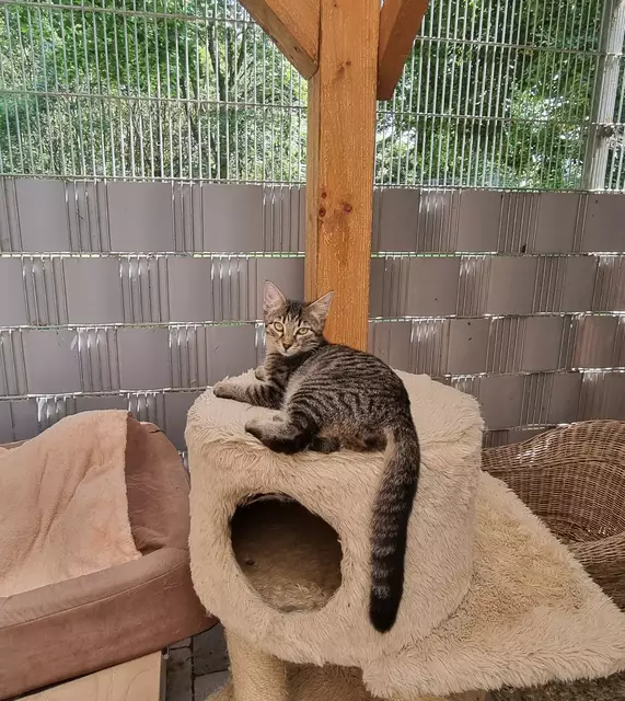 Konrad | Foto: Sabine Pollok