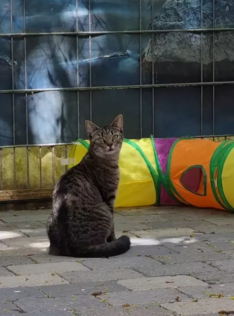 Sparrow | Foto: Sabine Pollok