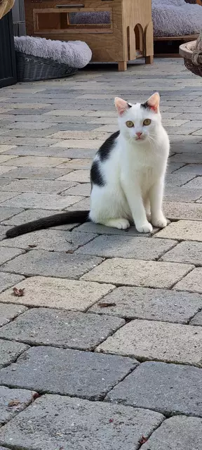 Snow | Foto: Sabine Pollok