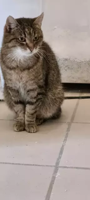 Granny | Foto: Sabine Pollok