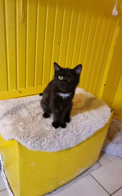 Sola | Foto: Sabine Pollok