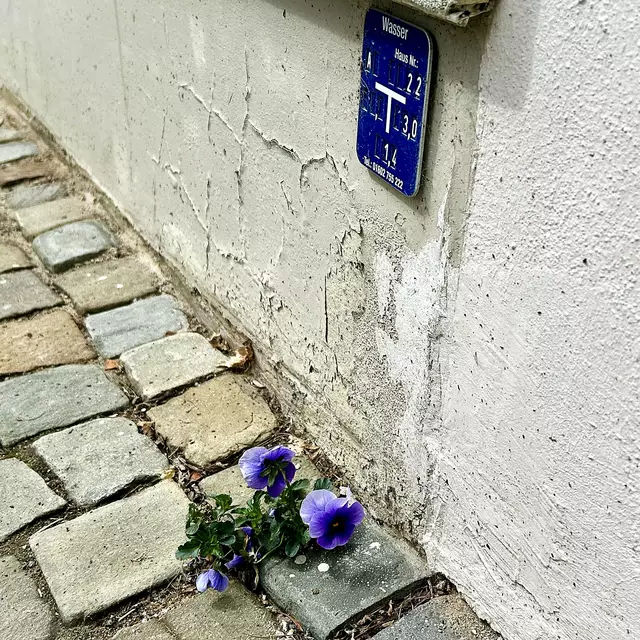 1 x Anklicken bitte:). 