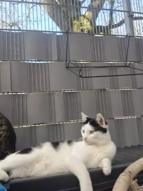 Schnösel | Foto: Sabine Pollok