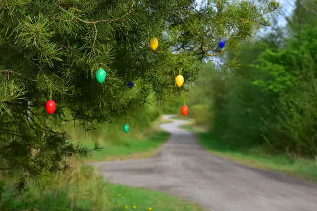 bei den Koldinger Teichen