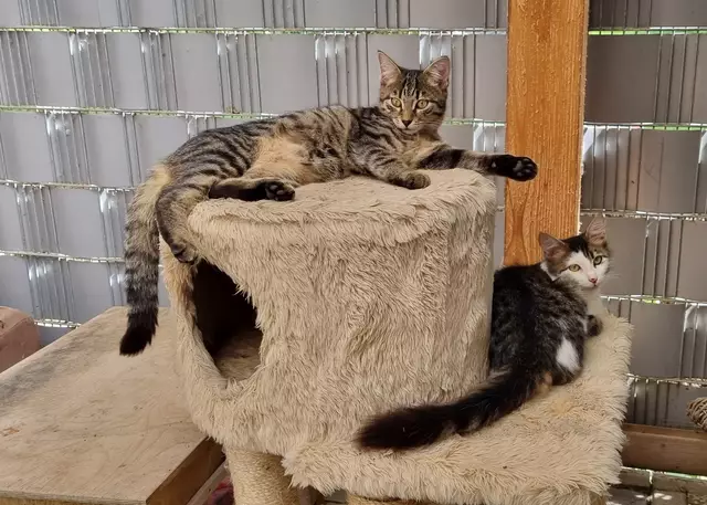 Konrad und Kasimir | Foto: Sabine Pollok