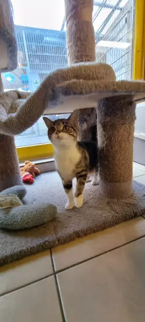 Xena | Foto: Sabine Pollok