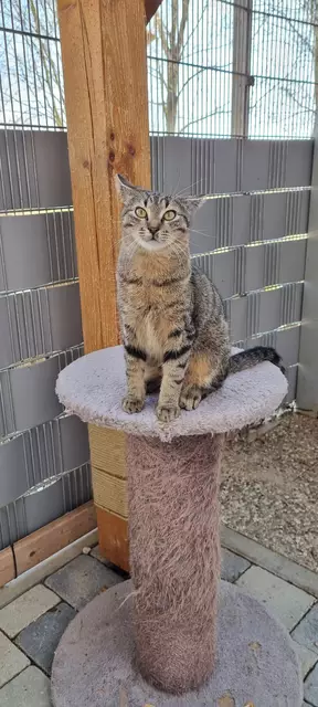 Schröder | Foto: Sabine Pollok