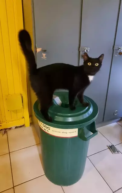 Thalia | Foto: Sabine Pollok