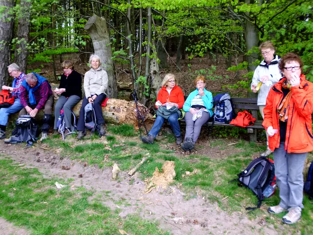 Rast auf dem Hellerbergkamm