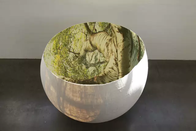 Viebach Große Baumschale | Foto: Andrea Viebach