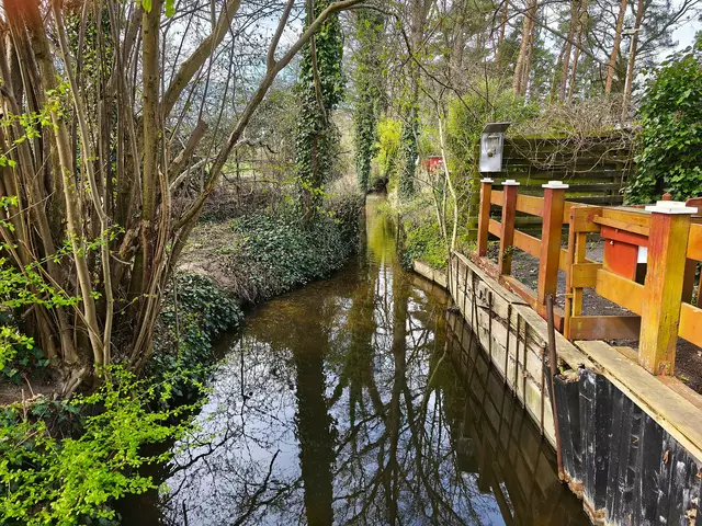 Idylle pur | Foto: Shima Mahi