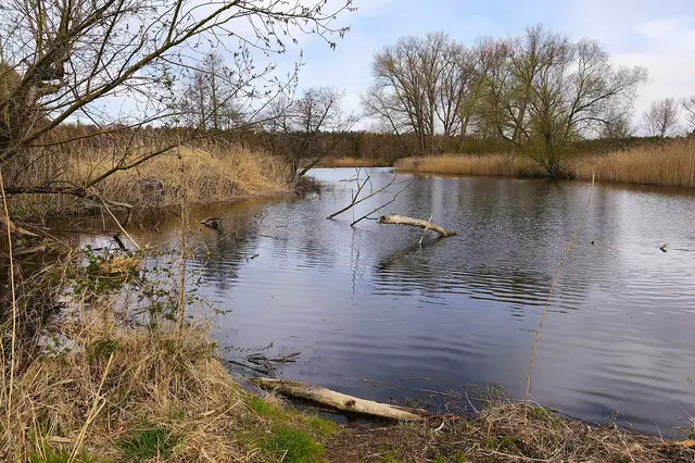 Urwüchsige Landschaft | Foto: Shima Mahi