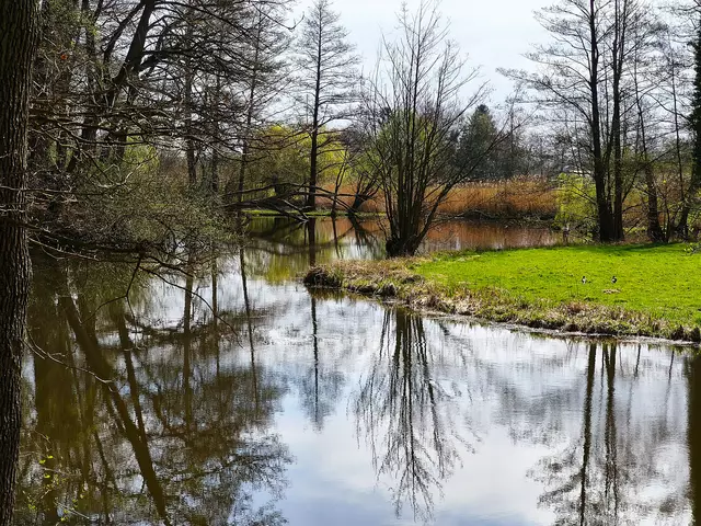Alleraltarme fließen in natürlichen Mäandern. | Foto: Shima Mahi