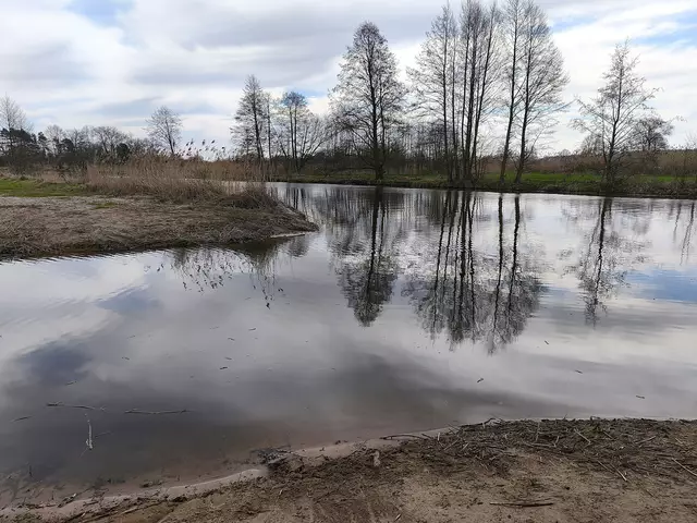 Spiegelungen | Foto: Shima Mahi