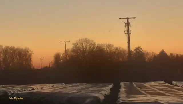 Foto: Iris Alefelder