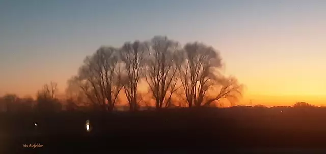 Foto: Iris Alefelder