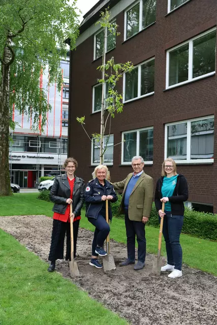 Mit dem neu gepflanzten Bienenbaum vor der DRK-Landesgeschäftsstelle in Münster: (von links) Laura Scheffelmaier (Klimaschutzmanagerin DRK-Landesverband Westfalen-Lippe), Tanja Knopp (Landesrotkreuzleiterin), Dr. Fritz Baur (Präsident DRK-Landesverband Westfalen-Lippe) und Andrea Büscher (Jugendrotkreuz-Landesleiterin) | Foto: Claudia Zebandt / DRK-Landesverband Westfalen-Lippe 