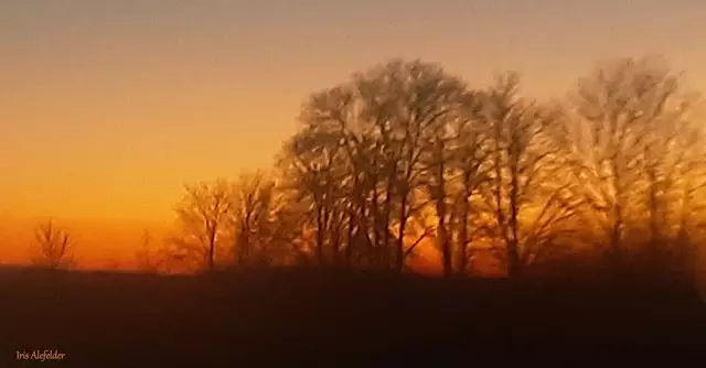 Foto: Iris Alefelder