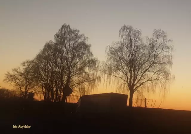 Foto: Iris Alefelder