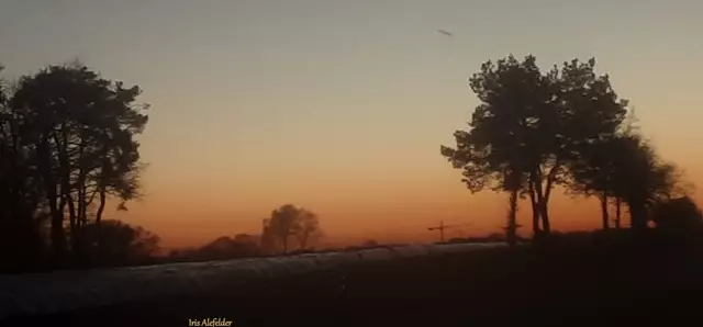 Foto: Iris Alefelder