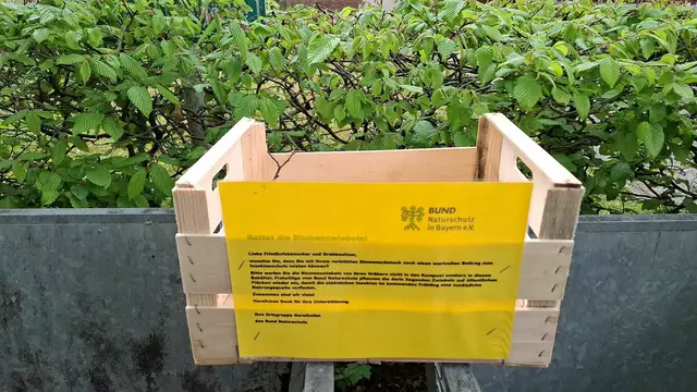 Blumenzwiebel Kiste  Friedhof in Gersthofen | Foto: Foto privat