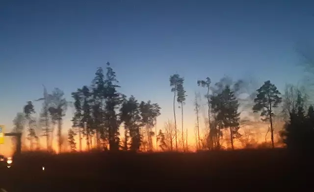 Foto: Iris Alefelder