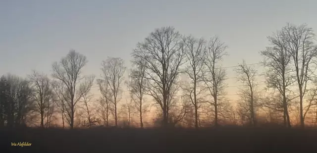 Foto: Iris Alefelder