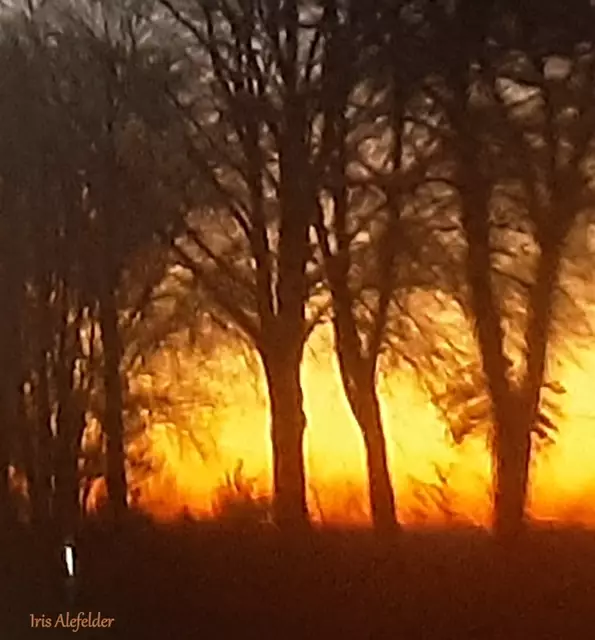 Foto: Iris Alefelder