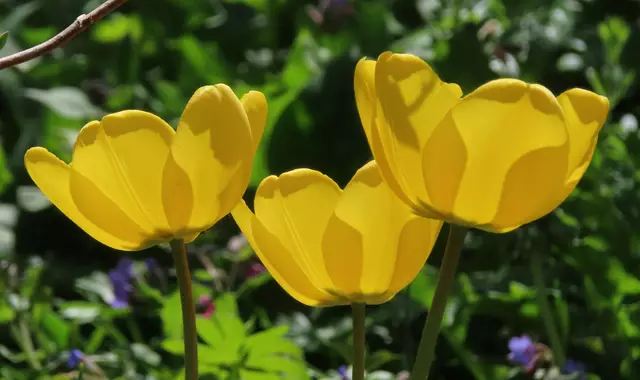 Original-Foto | Foto: M. A.