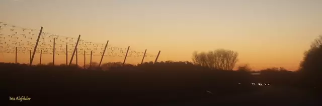 Foto: Iris Alefelder