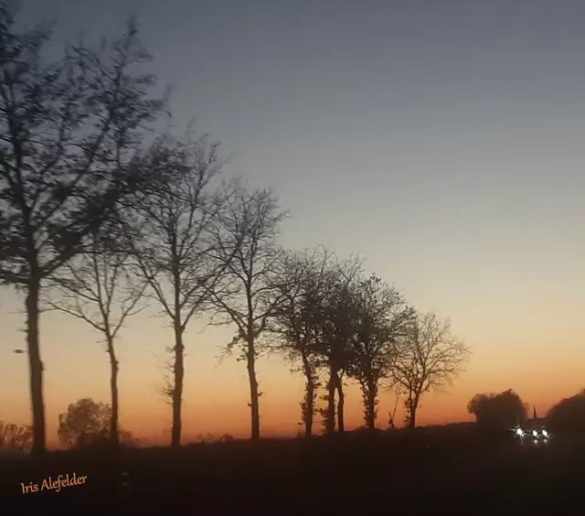 Foto: Iris Alefelder