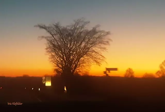 Foto: Iris Alefelder