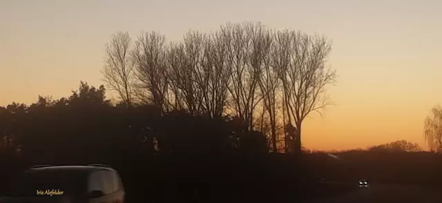 Foto: Iris Alefelder