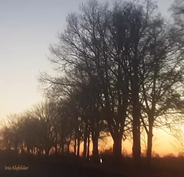 Foto: Iris Alefelder