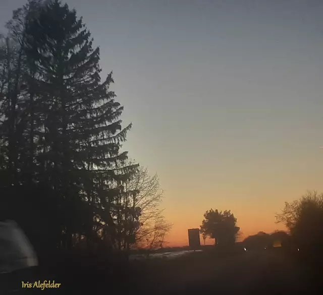 Foto: Iris Alefelder