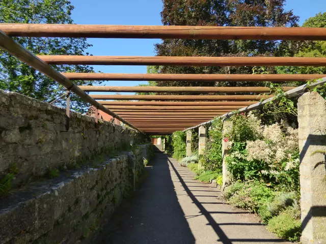 Und ab jetzt......................