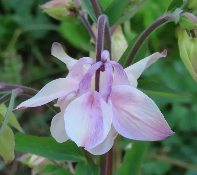 Original-Foto | Foto: M. A.