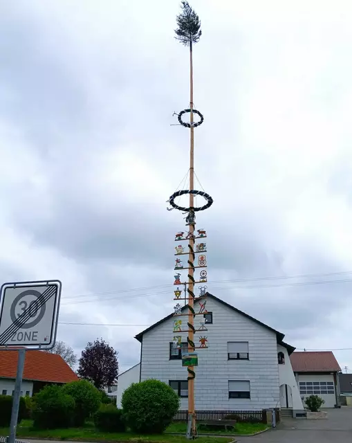 Bereits am vergangenen Wochenende wurde der Erlinger Maibaum mit seinen prächtigen Zunft-zeichen von den Ortsvereinen und freiwilligen Helfern in der Erlinger Dorfmitte aufgestellt. | Foto: Peter Heider