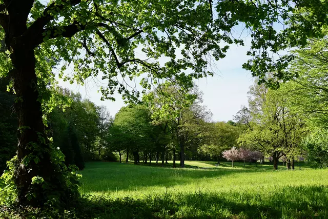 Unter der schattigen Linde blickt man in den Park... | Foto: Dr. Dietmar Kuhlmann, Neusäß