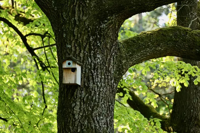 Nicht nur die Anwohner westlich des Baufeldes sind schockiert! Wer fragt eigentlich die direkt Betroffenen? | Foto: Dr. Dietmar Kuhlmann, Neusäß