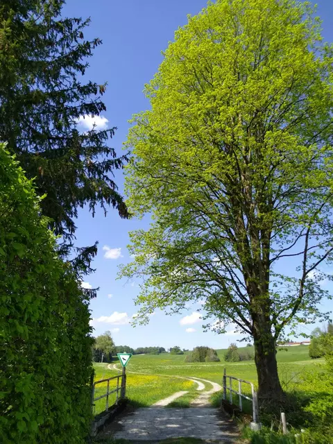 Foto: Rund um Vachendorf
