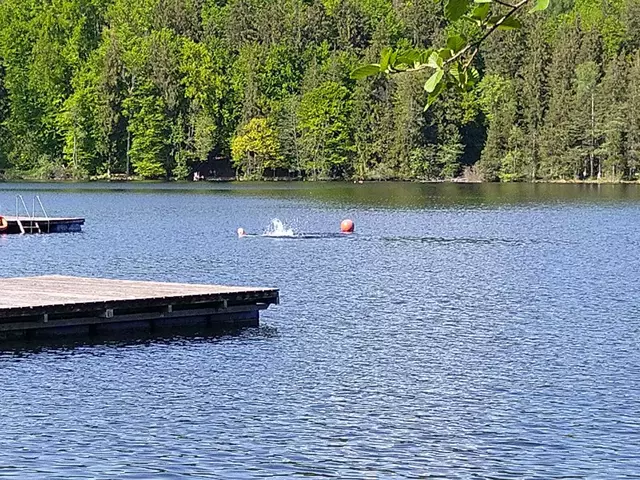 Foto: Rund um Vachendorf