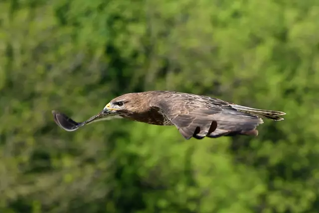 Foto: Copyright Andreas Schäfer