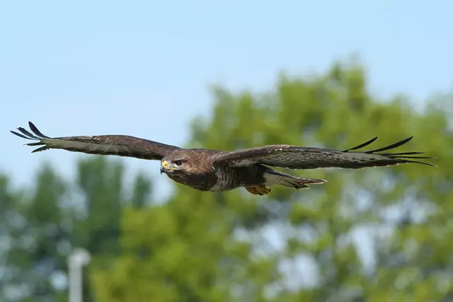 Foto: Copyright Andreas Schäfer