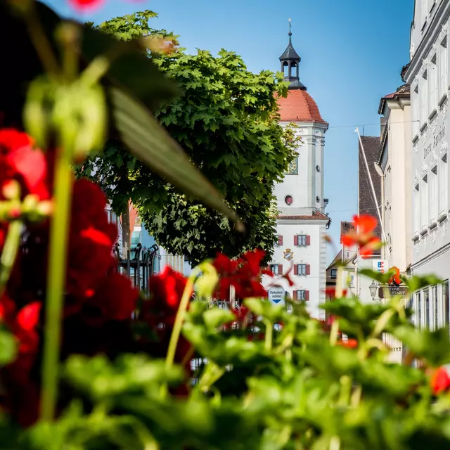 Mitteltorturm in der Königstraße | Foto: Stadt Dillingen
