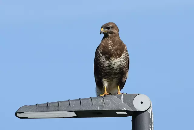 Foto: Copyright Andreas Schäfer