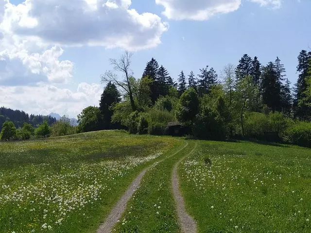 Foto: Rund um Vachendorf