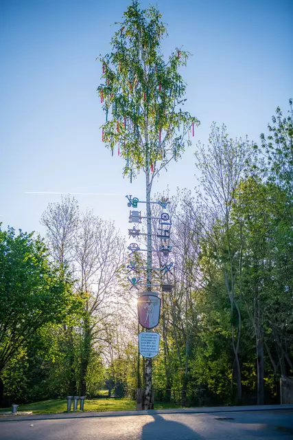 Maibaum in Schretzheim | Foto: Jan Koenen - Stadt Dillingen