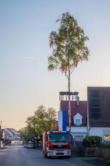 Maibaum in Hausen | Foto: Jan Koenen - Stadt Dillingen